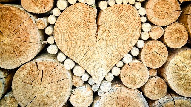 "Forests of Ukraine" increased the sale of round timber to 96% in the stock market.